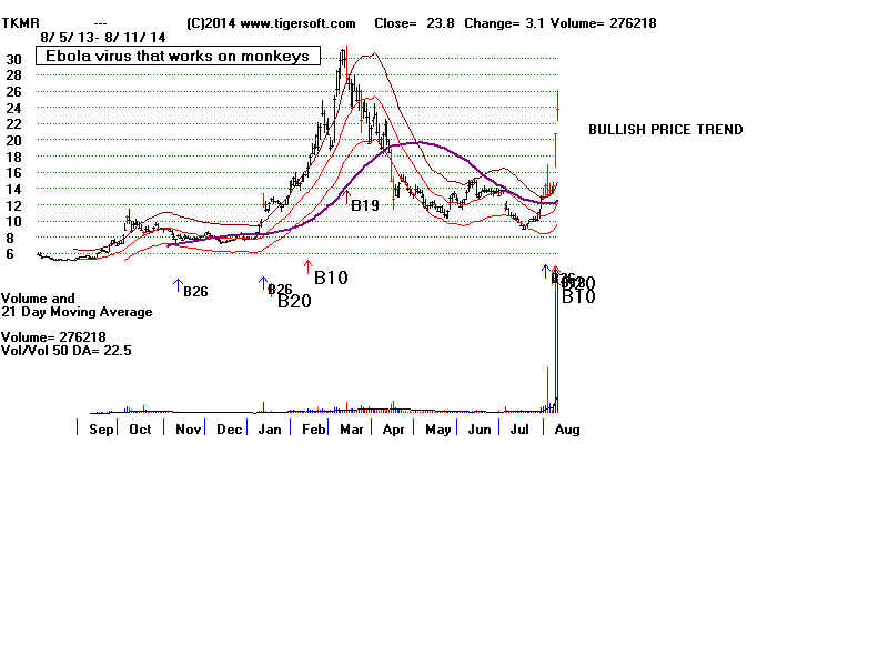 TKMR.BMP (1920054 bytes)