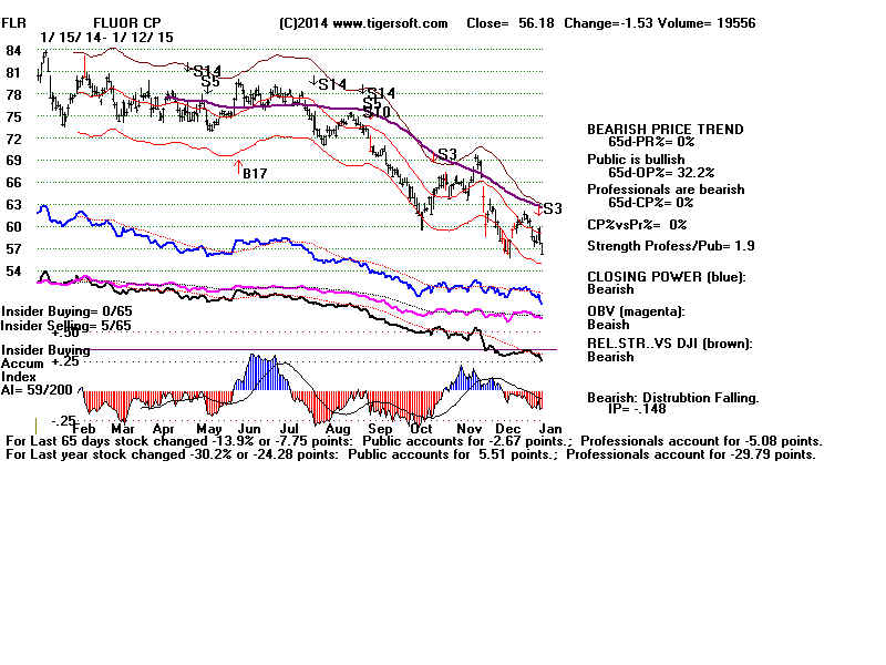 FLR.BMP (1920054 bytes)