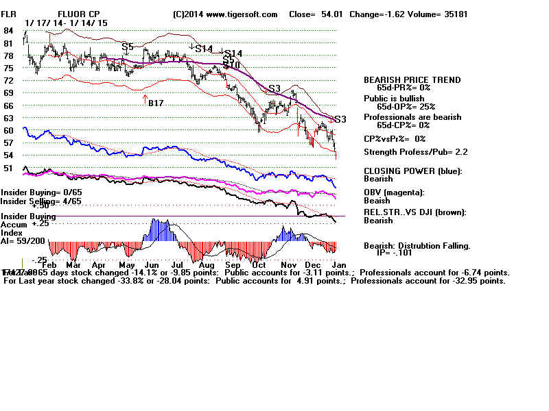 FLR.BMP (1920054 bytes)