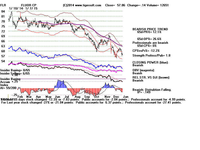 FLR.BMP (1920054 bytes)