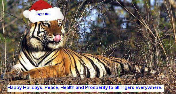 holiday-tiger.jpg (76150 bytes)