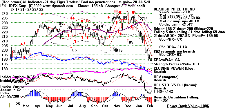 IEX.GIF (19074 bytes)