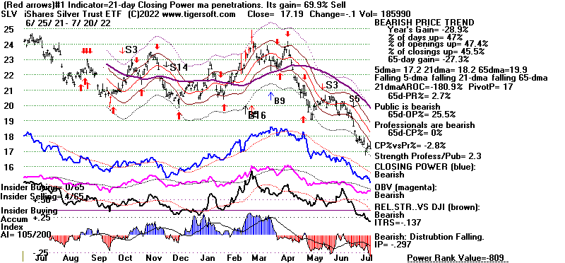 SLV.GIF (18695 bytes)