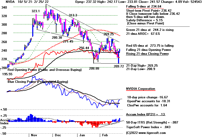 NVDA225D.GIF (17403 bytes)