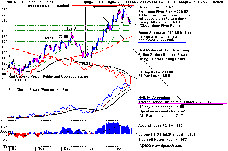 NVDA223.GIF (18233 bytes)