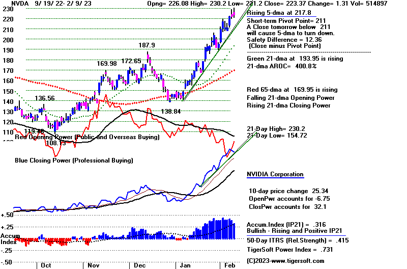 NVDA2929.GIF (18065 bytes)