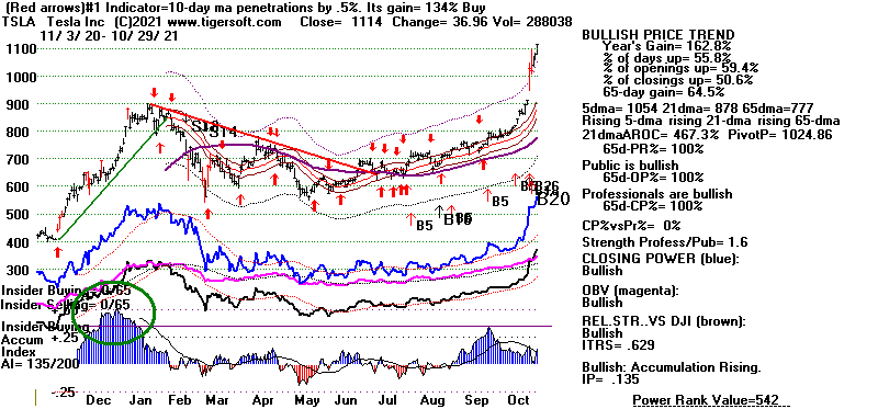 TSLA.GIF (18426 bytes)