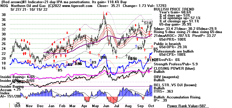 NOG.GIF (19751 bytes)