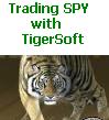 tigerbook.jpg (3991 bytes)