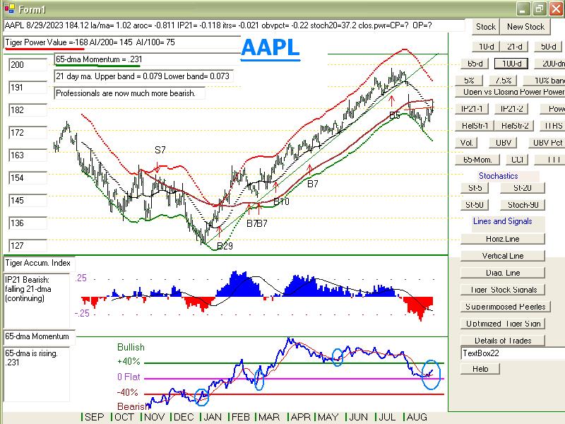 AAPL8293.JPG (116713 bytes)