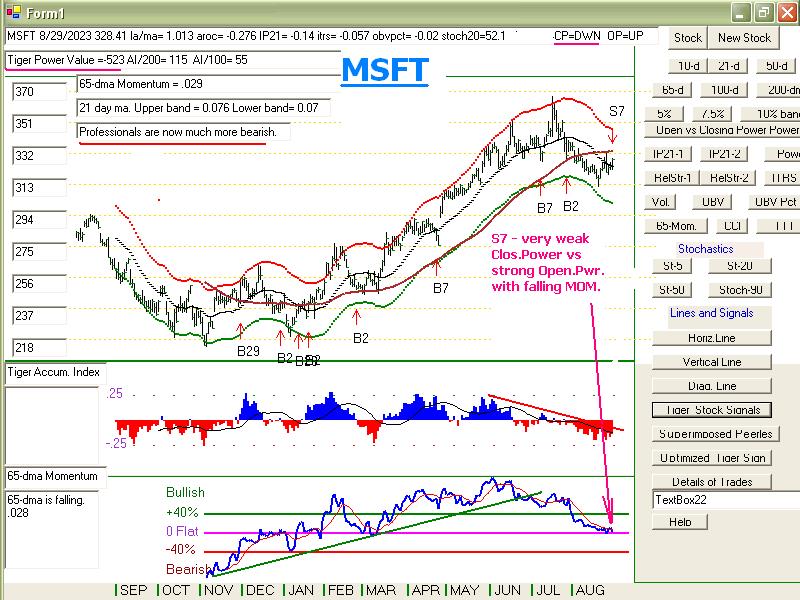 MSFT8293.JPG (118323 bytes)