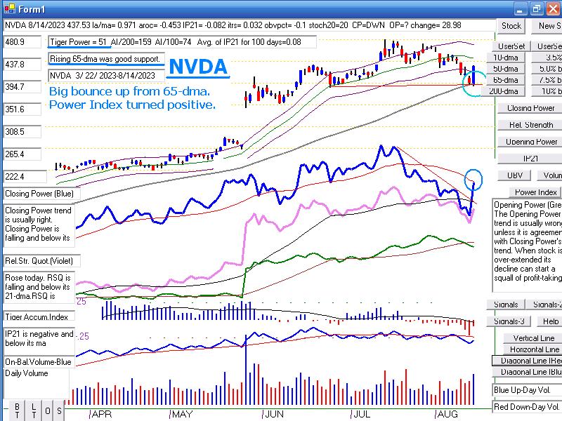 NVDA8114.JPG (133973 bytes)