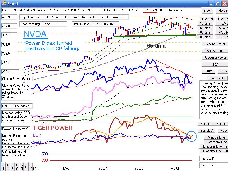 NVDA8183.JPG (131694 bytes)