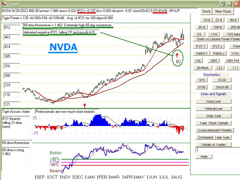 NVDA8283.JPG (109635 bytes)