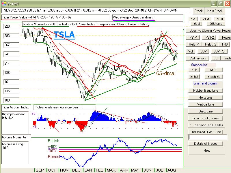 TSLA8253.JPG (117878 bytes)