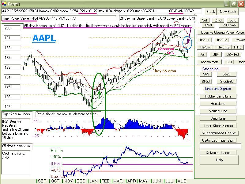 aapl8253.JPG (116770 bytes)